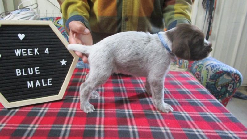 IMG_8355